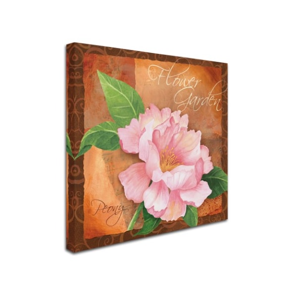 Fiona Stokes-Gilbert 'Peony' Canvas Art,14x14